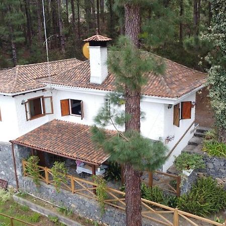 Вилла Floral Garden House Икод-де-лос-Винос Экстерьер фото