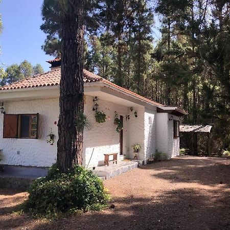 Вилла Floral Garden House Икод-де-лос-Винос Экстерьер фото