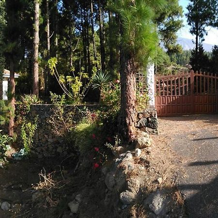Вилла Floral Garden House Икод-де-лос-Винос Экстерьер фото