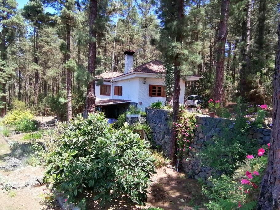 Вилла Floral Garden House Икод-де-лос-Винос Экстерьер фото
