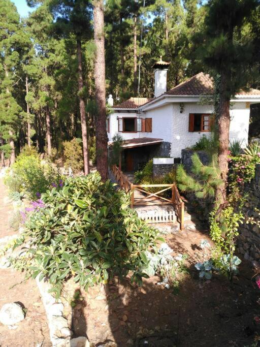 Вилла Floral Garden House Икод-де-лос-Винос Экстерьер фото