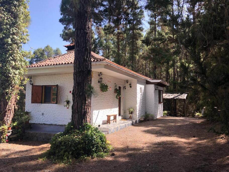 Вилла Floral Garden House Икод-де-лос-Винос Экстерьер фото