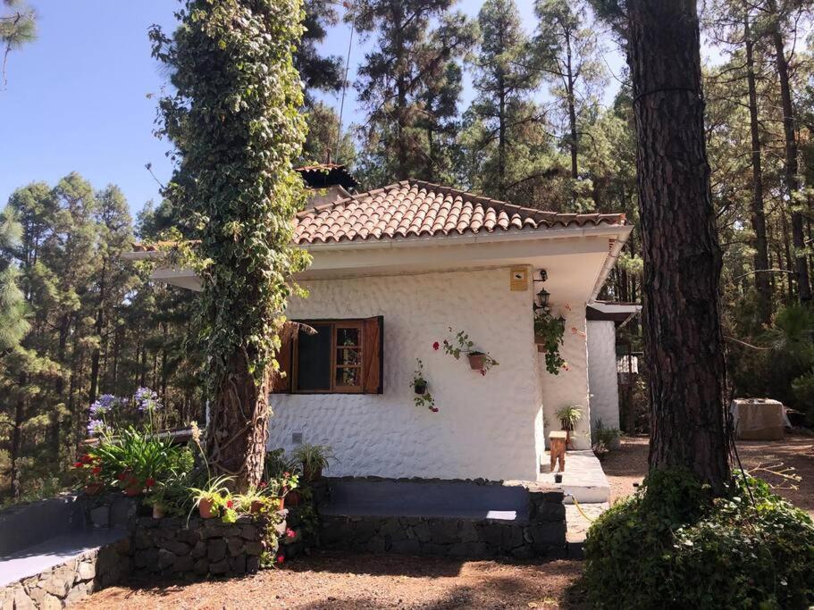 Вилла Floral Garden House Икод-де-лос-Винос Экстерьер фото